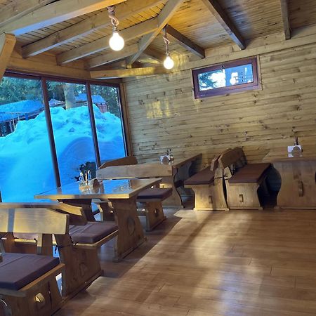 Villa Ibar Borovets Extérieur photo