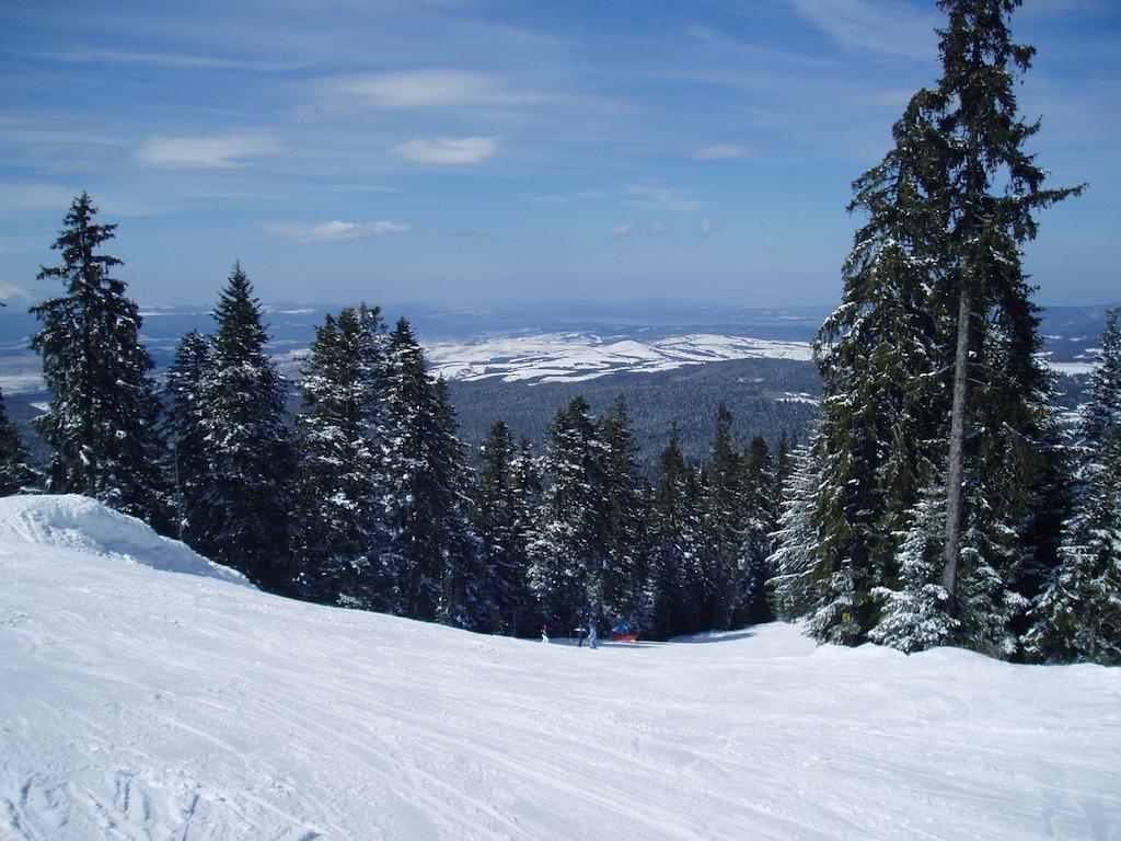 Villa Ibar Borovets Extérieur photo